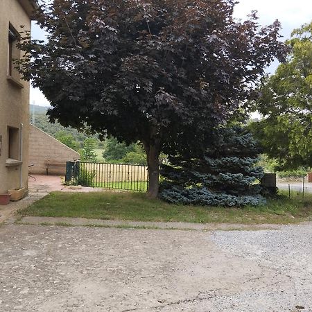 Maison Du Verdouble Rouffiac-des-Corbières Exterior photo